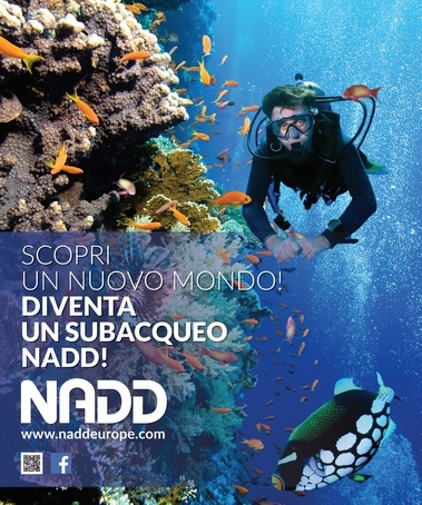 homepage_nadd